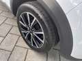 Ford Puma 1.0 ecoboost h Titanium s Bianco - thumbnail 8