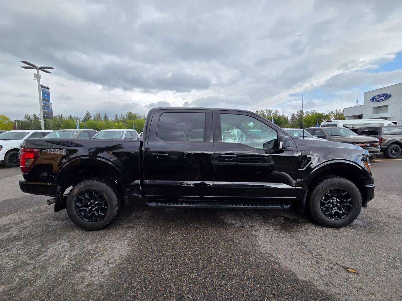 2025 Ford F-150 XLT — снимка 1