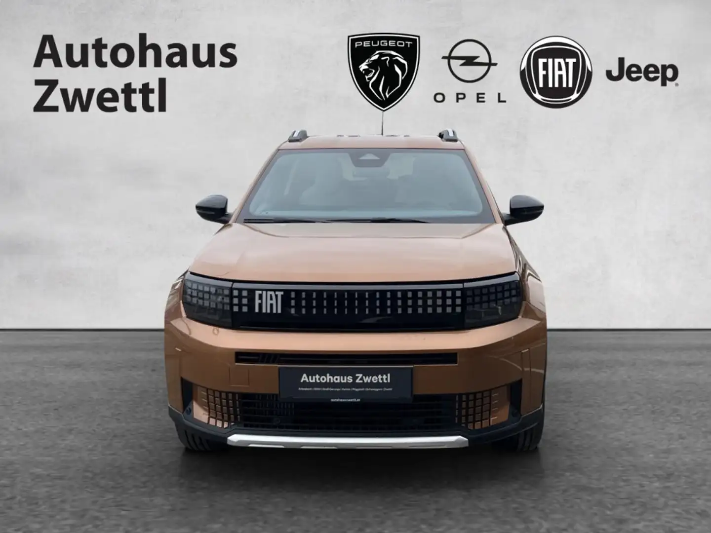 Fiat Grande Panda La Prima PT 100 Braun - 2