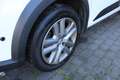 Dacia Sandero III Stepway Comfort TCe 100 LPG Weiß - thumbnail 4