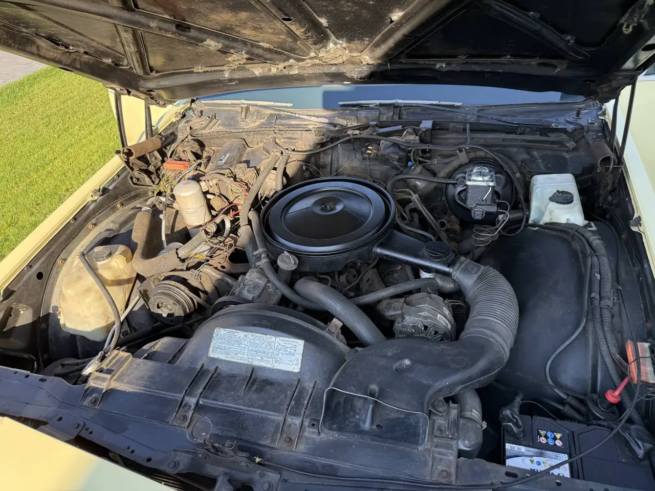 Buick Le Sabre Custom, foto 8