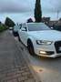 Audi A4 Avant 3.0 TDI DPF multitronic S line Sportpaket - thumbnail 3