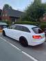 Audi A4 Avant 3.0 TDI DPF multitronic S line Sportpaket - thumbnail 8