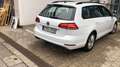 Volkswagen Golf Variant 1. Hand Weiß - thumbnail 7