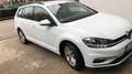 Volkswagen Golf Variant 1. Hand Weiß - thumbnail 4