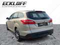 Ford Focus Turnier 1.5 EcoBoost Titanium LED*NAVI*SHZ - thumbnail 3