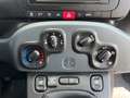 Fiat Panda VAN 1.2 69CV 2Posti Bianco - thumbnail 13