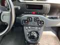 Fiat Panda VAN 1.2 69CV 2Posti Bianco - thumbnail 12