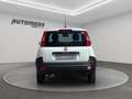 Fiat Panda VAN 1.2 69CV 2Posti Bianco - thumbnail 5