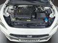 SEAT Leon FR Design Weiß - thumbnail 24