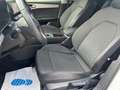 SEAT Leon FR Design Weiß - thumbnail 17