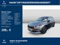 Skoda Fabia Drive 1,0 TSI 70 KW 5-Gang Infotainment Grau - thumbnail 2