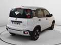 Fiat Panda 1.0 Mild Hybrid City Cross 4x2 Weiß - thumbnail 2