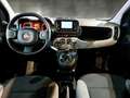 Fiat Panda 1.0 FireFly 70cv S&S Hybrid City Life 5 PORTE - thumbnail 7