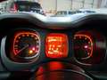 Fiat Panda 1.0 FireFly 70cv S&S Hybrid City Life 5 PORTE - thumbnail 8