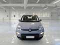 Fiat Panda 1.0 FireFly 70cv S&S Hybrid City Life 5 PORTE - thumbnail 2
