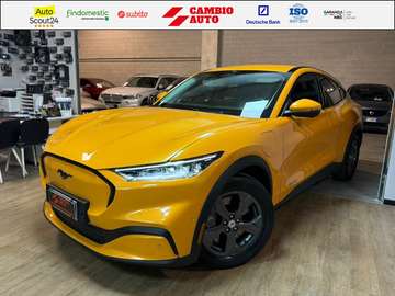 CHRISTMAS PROMO! standard range rwd 269cv auto