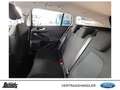 Ford Focus Turnier 1.0 EcoBoost Hybrid TITANIUM EDITION Grau - thumbnail 20