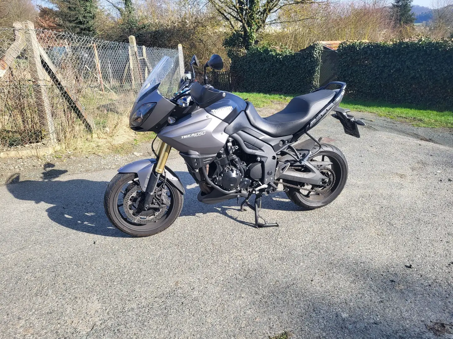 Triumph Tiger 1050 Negru - 1