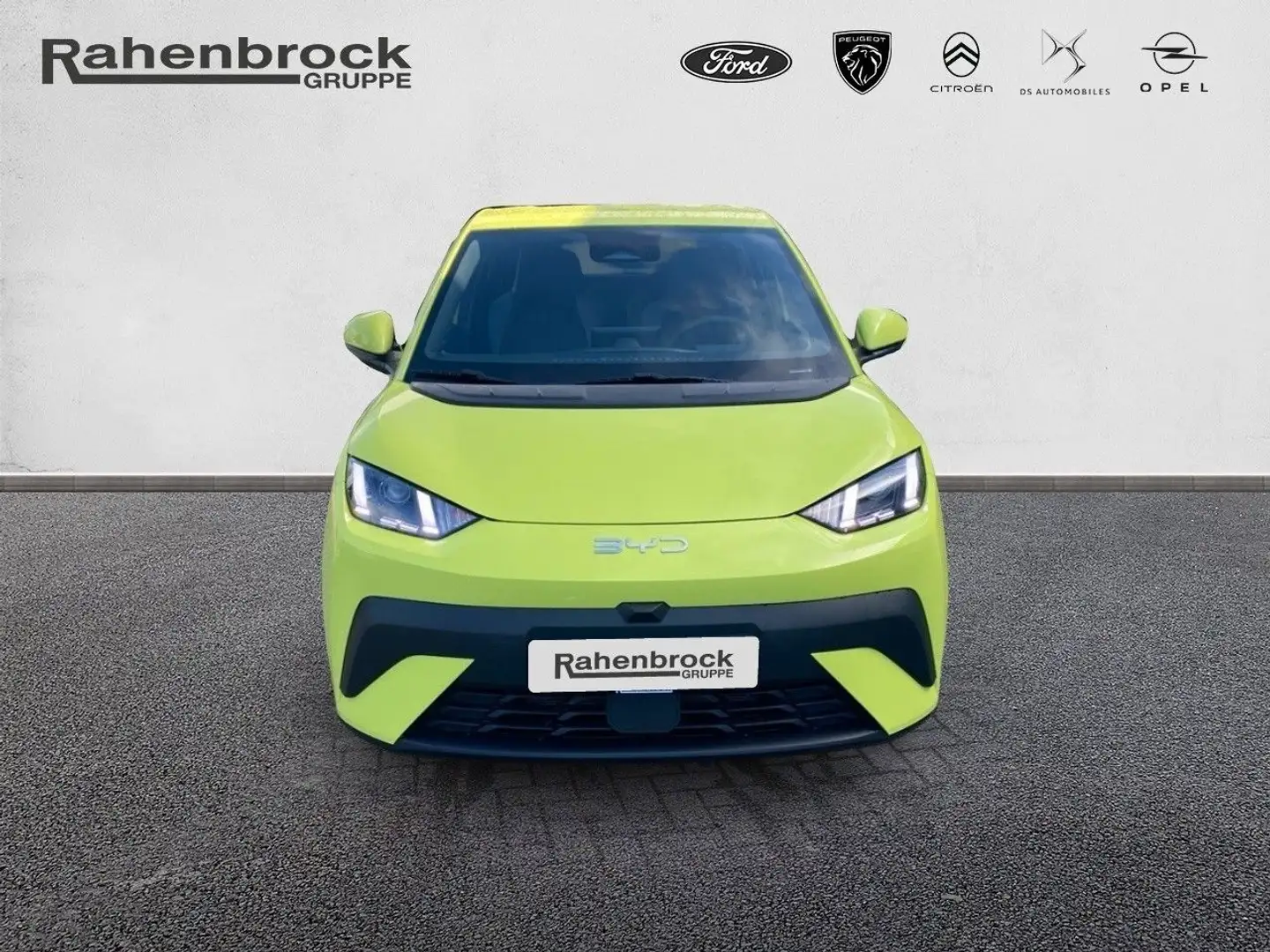 BYD Dolphin Surf Boost 43kWh Kamera Grün - 2