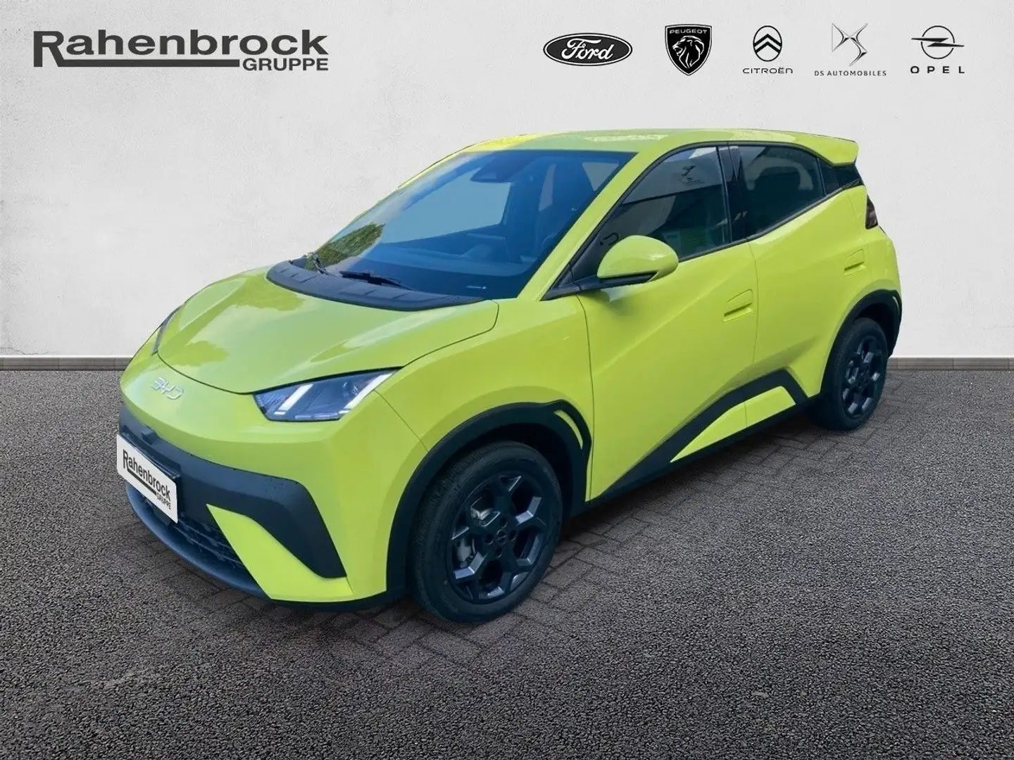 BYD Dolphin Surf Boost 43kWh Kamera Grün - 1