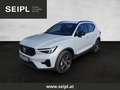 Volvo XC40 B3 Plus Dark Aut. Grau - thumbnail 1
