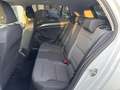 Volkswagen Golf Golf 1.0 TSI IQ.Drive OPF (EU6.2) Blanc - thumbnail 15