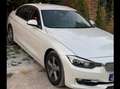 BMW 318 Bmw 318d - thumbnail 8