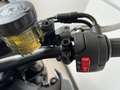 SWM Gran Milano 440 GRAN MILANO 500 - A2 - MY 24 - FINANZIABILE Argento - thumbnail 14