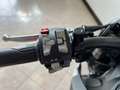 SWM Gran Milano 440 GRAN MILANO 500 - A2 - MY 24 - FINANZIABILE Argento - thumbnail 12