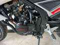 SWM Gran Milano 440 GRAN MILANO 500 - A2 - MY 24 - FINANZIABILE Argento - thumbnail 8