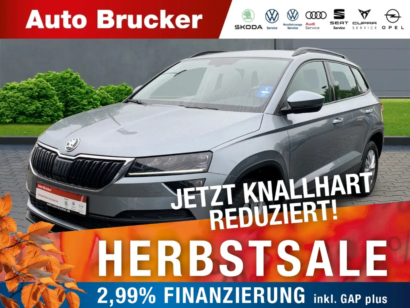 Skoda Karoq Ambition 1.0 TSI+Alufelgen+Klimaautomatik+Sitzheiz Grau - 1