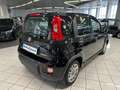 Fiat Panda NO FINANZIAMENTO - 1.0 FireFly S&S Hybrid Noir - thumbnail 3