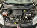 Fiat Panda NO FINANZIAMENTO - 1.0 FireFly S&S Hybrid Noir - thumbnail 6
