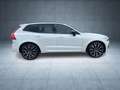 Volvo XC60 R Design AWD Blanc - thumbnail 7