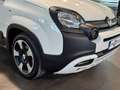 Fiat Panda 1.0 FireFly S&S Hybrid Bianco - thumbnail 6