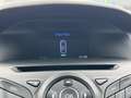 Ford Focus Wagon 1.0 EcoBoost "Champions League" edition Stoe Gris - thumbnail 11