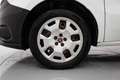 Fiat Doblo 1.3 MJT CASSONATO WORK-UP E5+ White - thumbnail 6