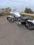 Harley-Davidson Sportster 883 Blanco - thumbnail 2