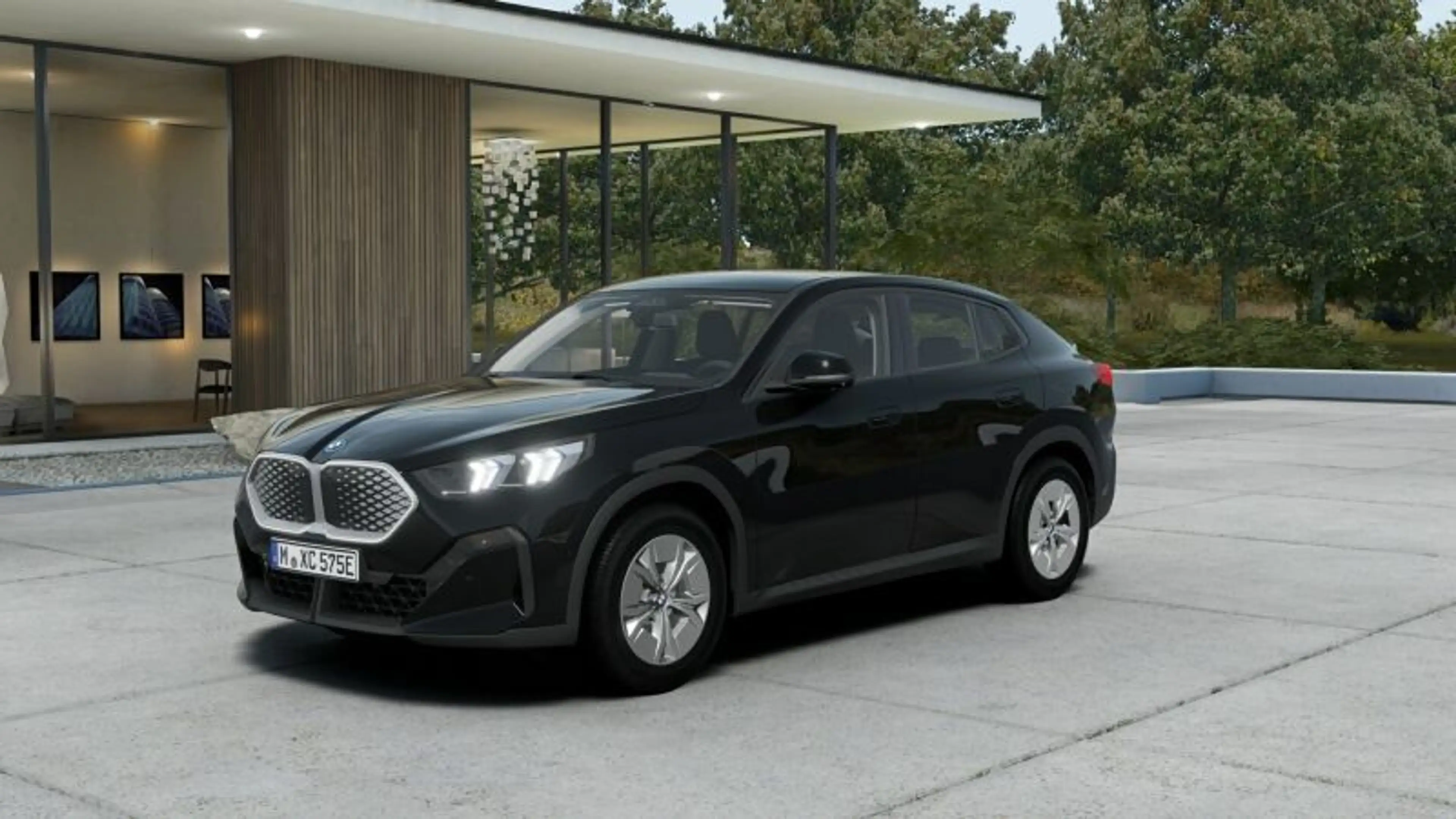 BMW iX2 eDrive 20 *AKTION'* Inno.-paket / AHK