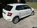 Skoda Fabia 1,0 TSI*Green tec*Ambition* Bianco - thumbnail 4