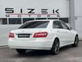 Mercedes-Benz E 220 BlueEfficiency CDI Aut.|XENON|NAVI|PDC|TEILLEDER Weiß - thumbnail 3
