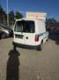 Volkswagen Caddy - thumbnail 3
