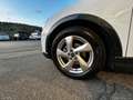 Audi Q3 35 TDI S tronic Advanced PRONTA CONSEGNA Bianco - thumbnail 4