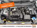 Volkswagen T-Roc 1.5 tsi life dsg Grigio - thumbnail 13