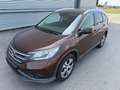Honda CR-V 2,0i-VTEC Lifestyle 4WD Aut. ID:72 Braun - thumbnail 1