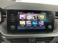 Skoda Kamiq Style TSI DSG Grau - thumbnail 16