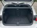 Volkswagen Golf VIII 1.5 TSI IQ-Light R-Kamera AHK Weiß - thumbnail 11