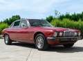 Jaguar XJ6 4.2 MANUALE Rouge - thumbnail 33