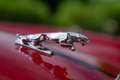 Jaguar XJ6 4.2 MANUALE Rouge - thumbnail 32